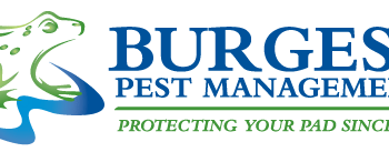 Some professional regarding pest control